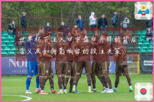 世界杯下注入口中盘口升降的背后含义及如何影响你的投注决策