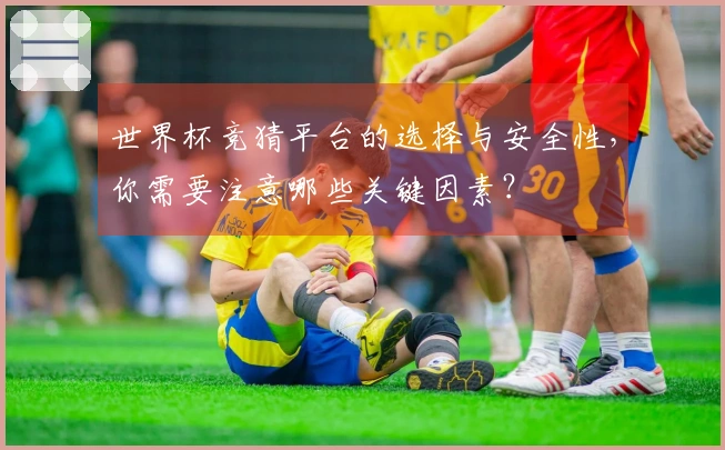 世界杯竞猜平台的选择与安全性，你需要注意哪些关键因素？