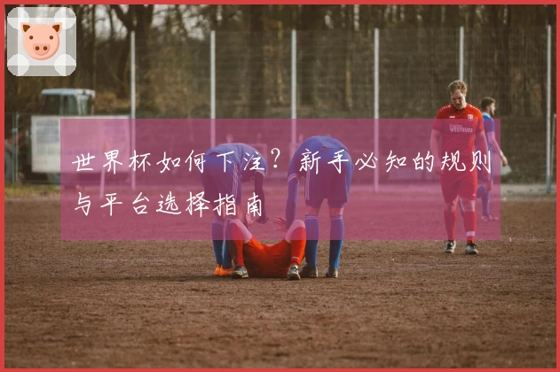问鼎pg体育资讯图