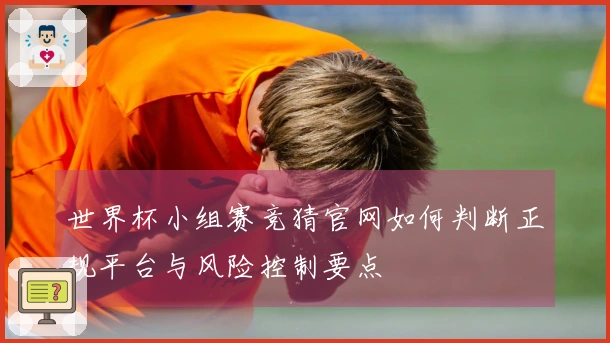 世界杯小组赛竞猜官网如何判断正规平台与风险控制要点