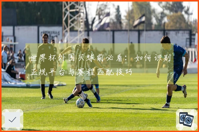 问鼎pg文章缩略图
