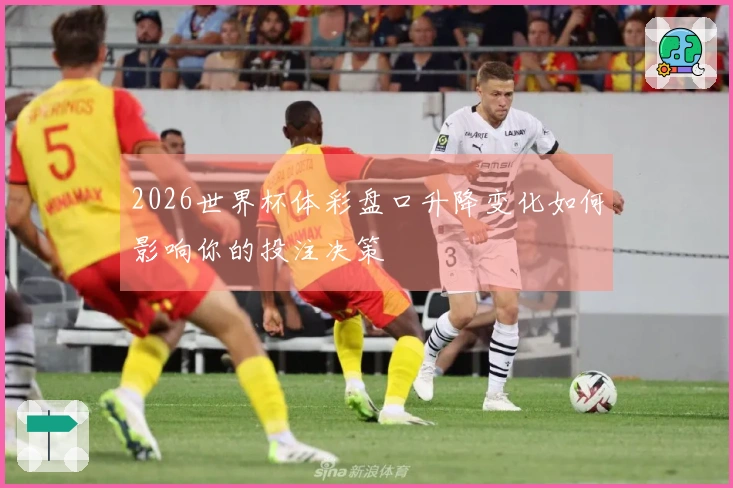 2026世界杯体彩盘口升降变化如何影响你的投注决策
