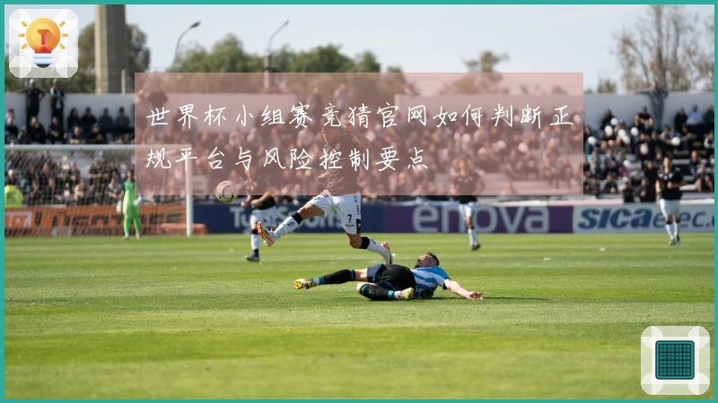 世界杯小组赛竞猜官网如何判断正规平台与风险控制要点