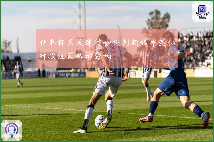 世界杯买足球时如何判断赔率变化对投注策略的影响